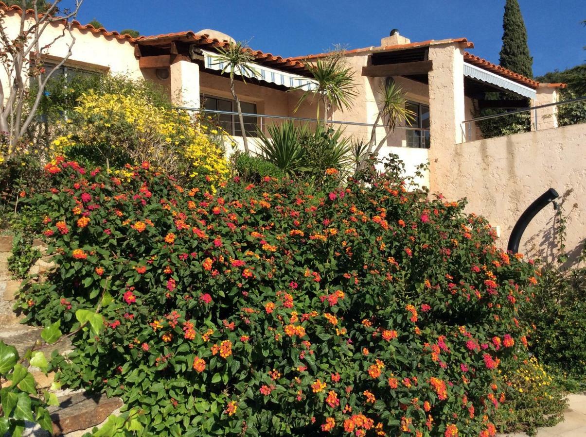 Villa Du Bau Rouge Carqueiranne Exteriör bild