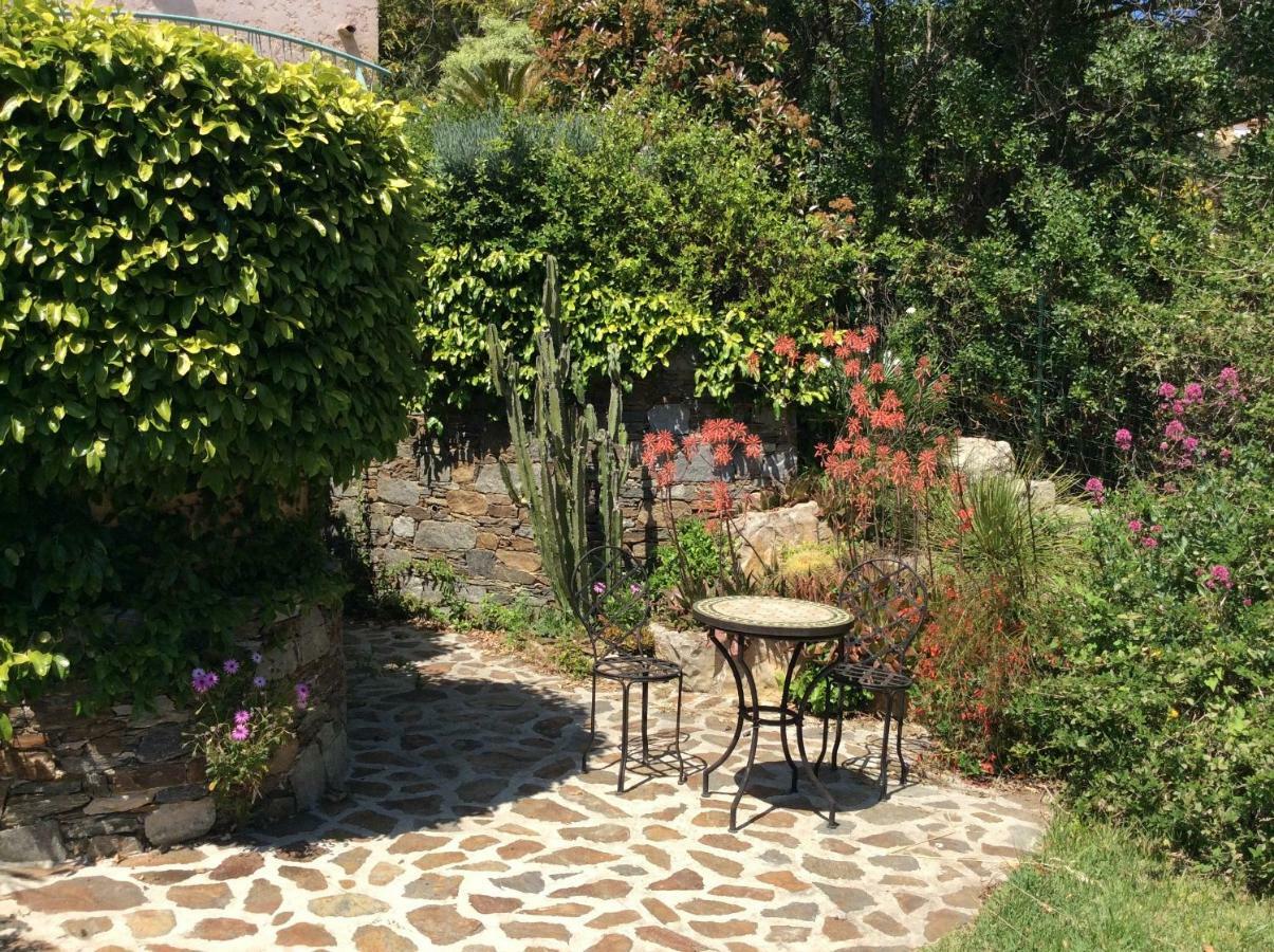 Villa Du Bau Rouge Carqueiranne Exteriör bild